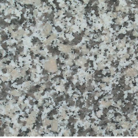 Grey Sardo