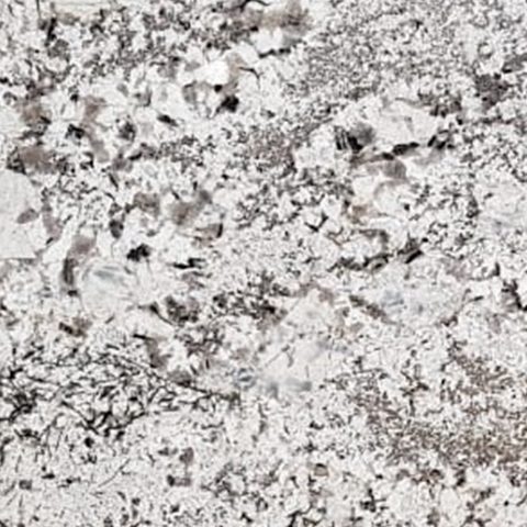 silver fall
